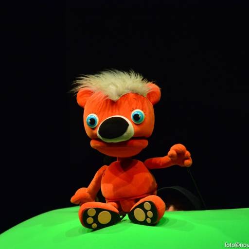 Medo Đuro i veliki medvjed